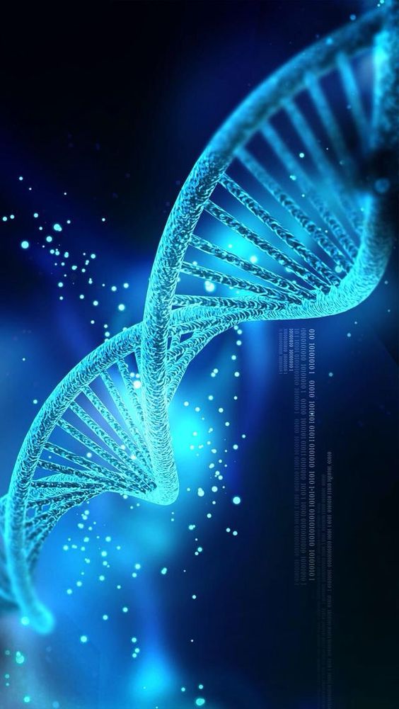 Risveglio dei 12 filamenti di DNA