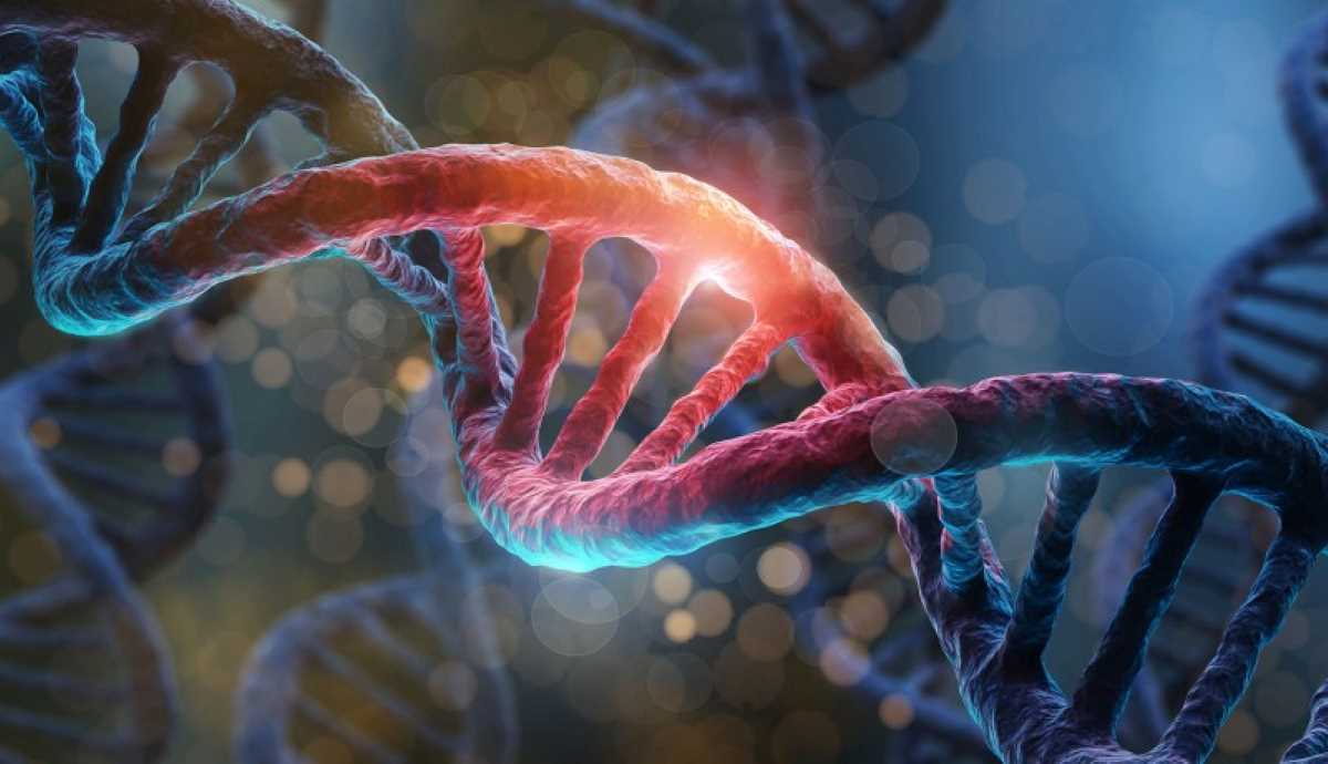 Il tuo corpo e il tuo nuovo DNA